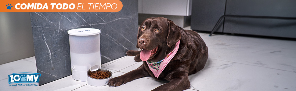 comedero para perros