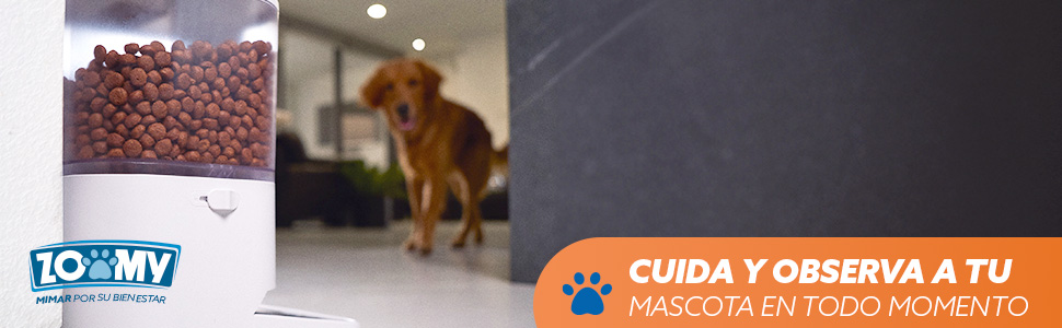 comedero con cámara para perro