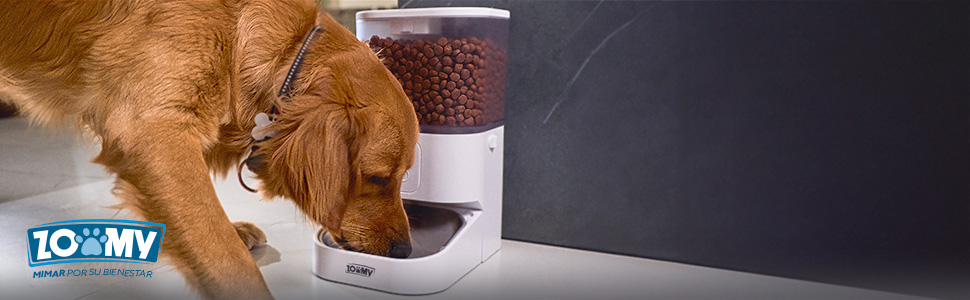productos para perros